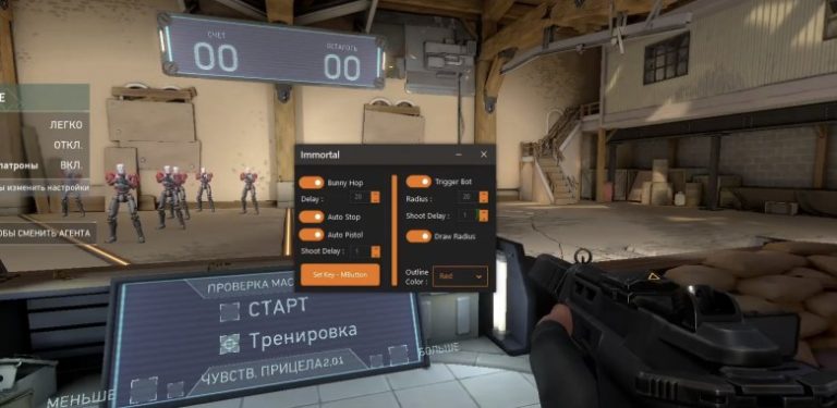 MonMo Triggerbot для Valorant (Без Бана)